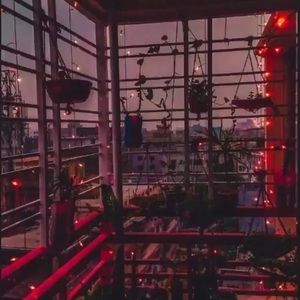 Meet your Posher, Monique